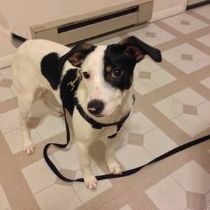 Meet your Posher, Bryan